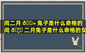 闰二月 🌻 兔子是什么命格的「闰 🦊 二月兔子是什么命格的女孩」